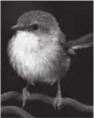 AG Neovo RX-24E - IMAGE SETTING - 8