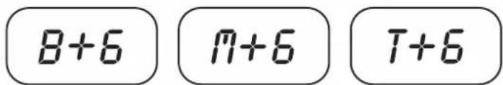 B+6 M+6 T+6