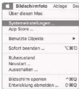 Bildschirmfoto Ablage Bei Über diesen Mac Systemeinstellungen ... App Store ... Benutzte Objekte ► Sofort beenden ... \\# Ruhezustand Neustart ... Ausschalten ... Bildschirm sperren ^# Entwicklung abmelden ... ⬤Q