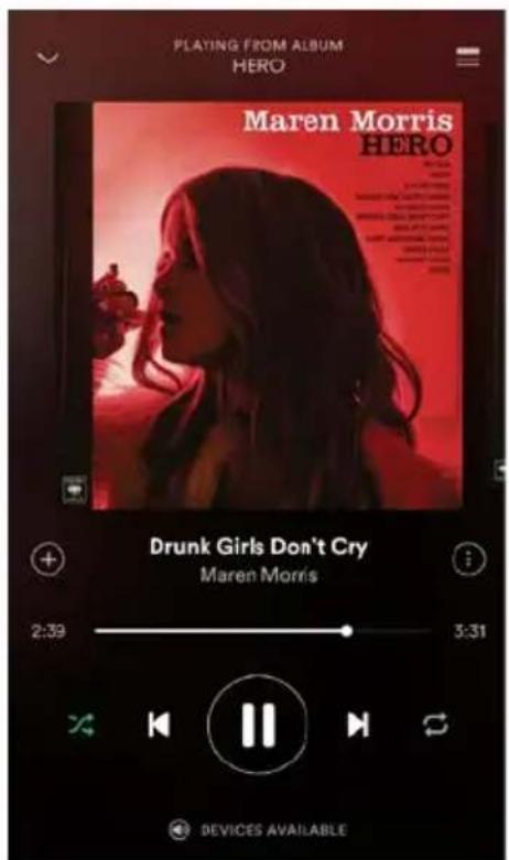 Schnepel Palona QUUBI - Spotify App mit QUUBI verbinden - 1
