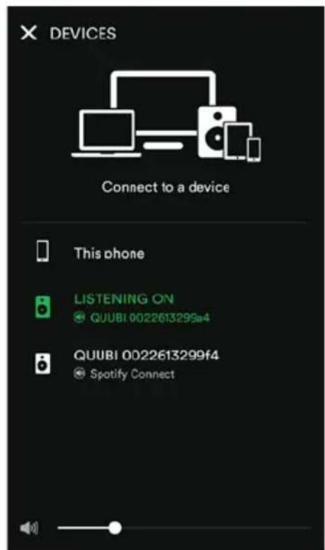 Schnepel Palona QUUBI - Spotify App mit QUUBI verbinden - 2
