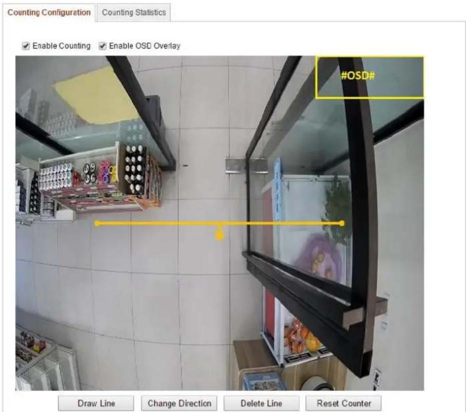 Hikvision DS-2CD2522FWD-ISB - ◆ Counting Configuration - 1