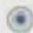 Maginon Wifi Video Camera IPC-30-FHD - Einrichtungsassistenten durchführen - 2