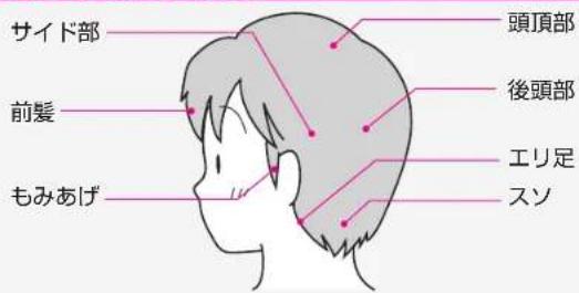 サイド部 前髪 もみあげ 頭頂部 後頭部 エリ足 スソ