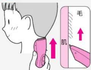 毛 肌