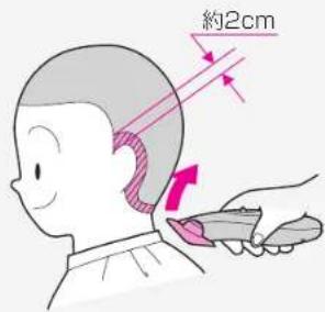 約2cm
