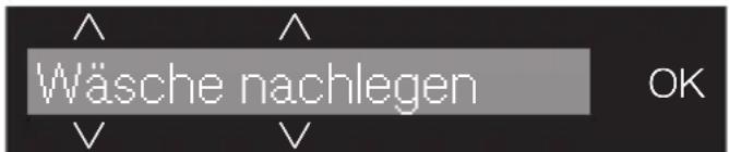 MIELE WWE 800-60 CH TDos Wifi - Wäsche nachlegen/entnehmen - 2