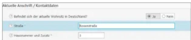 Buhl Tax 2017 Professional - Vereinfachte Dateneingabe - 1