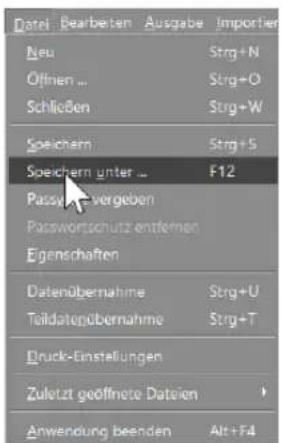 Buhl Tax 2017 Professional - Das Menü Datei - 1