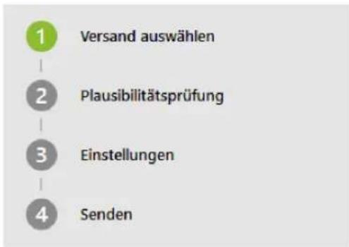Buhl Tax 2017 Professional - Assistenten - 2