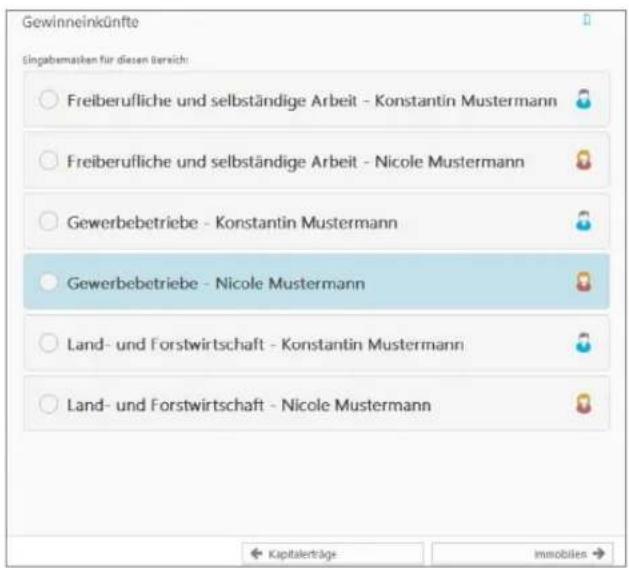 Buhl Tax 2017 Professional - Bedienanleitung - 1