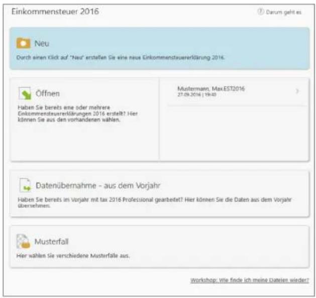 Buhl Tax 2017 Professional - Die Musterfälle - 1