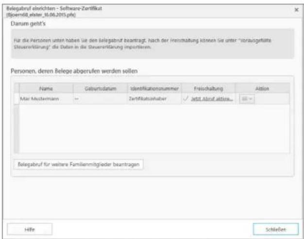 Buhl Tax 2017 Professional - Bedienanleitung - 3