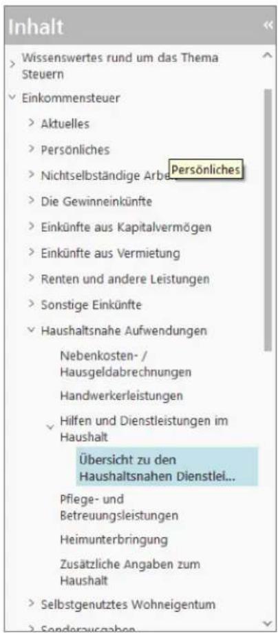 Buhl Tax 2017 Professional - Bedienanleitung - 1