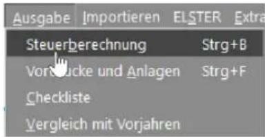 Buhl Tax 2017 Professional - Suchen - 1