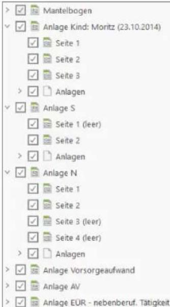 Buhl Tax 2017 Professional - Formularvorschau - 2