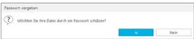 Buhl Tax 2017 Professional - Kennwort - 1
