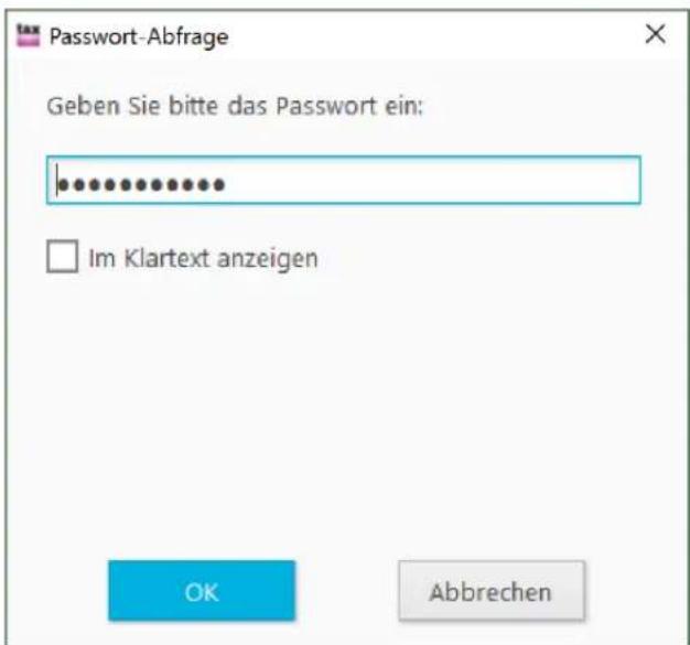 Buhl Tax 2017 Professional - Kennwort - 3