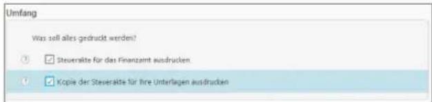 Buhl Tax 2017 Professional - Assistenten - 3