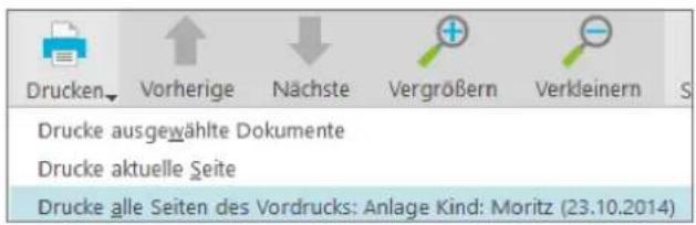 Buhl Tax 2017 Professional - Bedienanleitung - 2