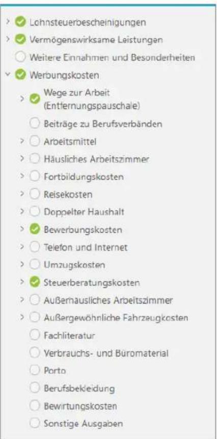 Buhl Tax 2017 Professional - Die Liste der Eingabemasken - 1