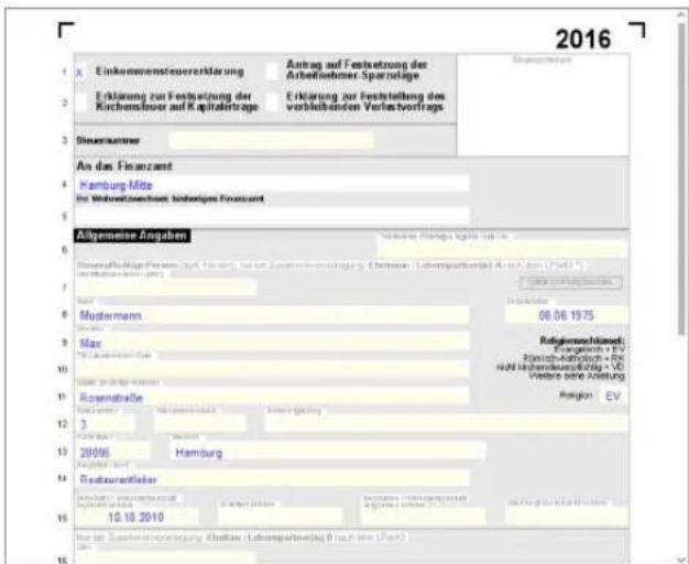 Buhl Tax 2017 Professional - Schließen - 1