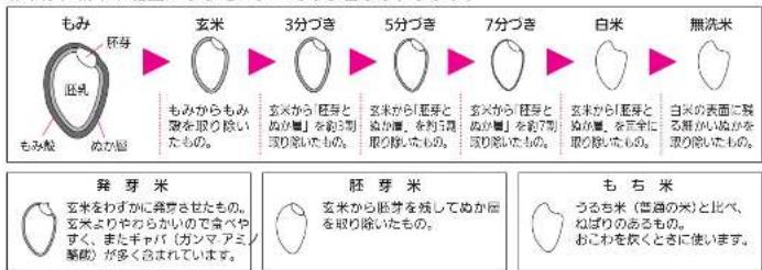 もみ 胚芽 胚乳 もみ殻 ぬか殻 玄米 3分づき 玄米から胚芽とぬか殻」を取り割取り除いたもの。 5分づき 玄米から胚芽とぬか殻」を剥り割取り除いたもの。 7分づき 玄米から胚芽とぬか殻」を約4割取り除いたもの。 白米 無洗米 玄米から胚芽とぬか殻」を正全に取り除いたもの。 白米の表面に残る無がいぬかを取り除いたもの。 発芽米 玄米をわずかに発芽させたもの。玄米よりやらかいので食べやすく、またチャバ(ガンマ、アミノ繊砕)が多く含まれています。 胚芽米 玄米から胚芽を残してぬか殻を取り除いたもの。 も右米 うるち(盲曲の米)と比べ、ねばりのあるもの。おこわを抜くときに使います。