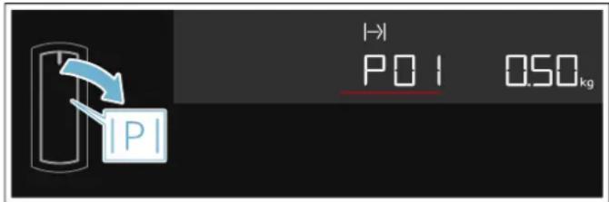 |→| P01 0.50kg
