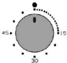 Smalvic Premium FI-70GEVT SX79F-CM - Mechanical timer CM (in the models set-up) - 1