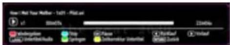 New Net Your Mother - 1x71 - Pkt.ac v1 300x5% 200x6% Understore Auto Interface Tray Spring Erase Uniformer Interval Portland DARK Data Virtual