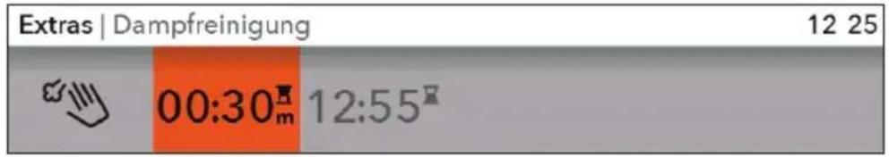 GORENJE BCS598S24X - PROGRAMM REINIGEN MIT DAMPF - 2