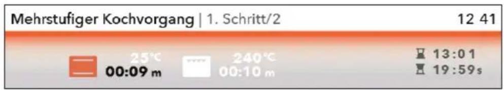 GORENJE BCS598S24X - SCHRITTPROGRAMM - 5