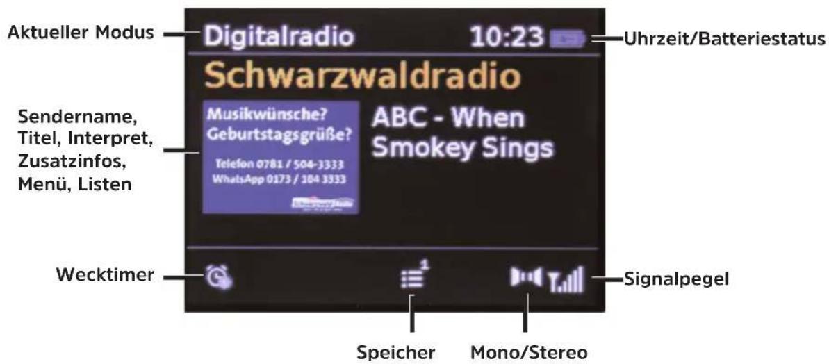 TECHNISAT DigitRadio 215 - Display-Anzeige - 1