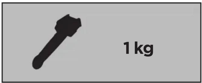 1 kg