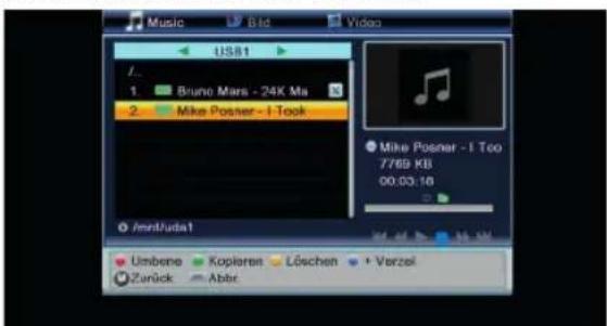 Schwaiger DSR512HD - Musik - 10