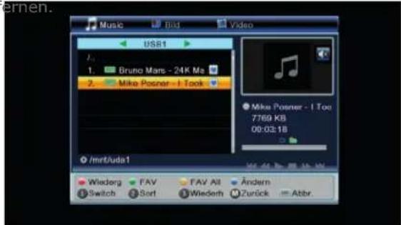 Schwaiger DSR512HD - Musik - 5