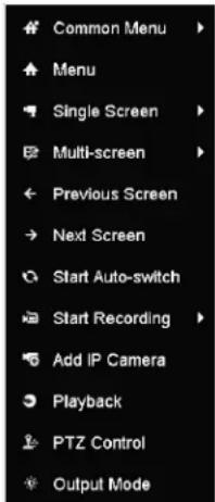 Hikvision DS-7204HQI-K1/P - Using the Mouse in Live View - 2