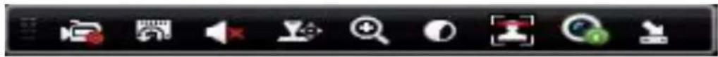 Hikvision DS-7204HQI-K1/P - "uick Setting Toolbar in Live View Mode - 1