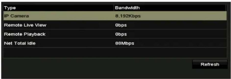Hikvision DS-7204HQI-K1/P - ••.3.4 Checking ™Network Statistics - 1