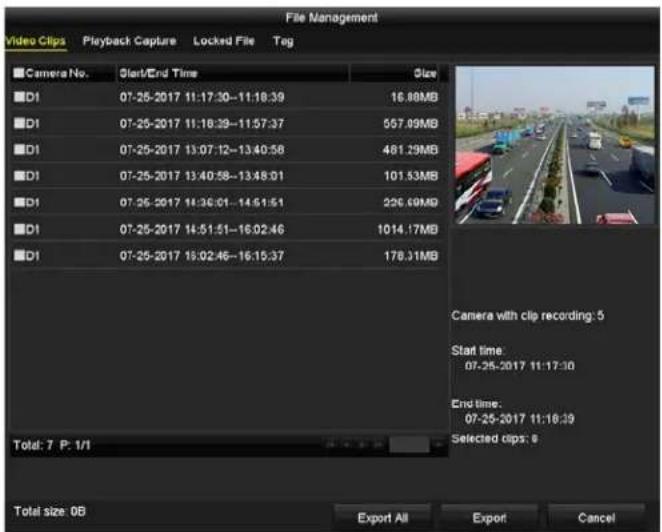 Hikvision DS-7316HQI-K4 - Click enter the file management interface. - 1