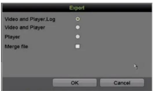 Hikvision DS-7316HQI-K4 - Using USB Flash Drives, USB HDDs - 3