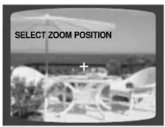 SAMSUNG HT-TQ22 - Zoom (Screen Enlarge) Function - 1