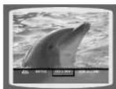 SAMSUNG HT-WP30 - Using Disc Menu - 3