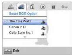 SAMSUNG HMX-W300BP - Smart BGM Option (Smart-HGM-Option) - 2