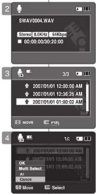 SAMSUNG VP-X300 - Sprachdateien löschen - 1