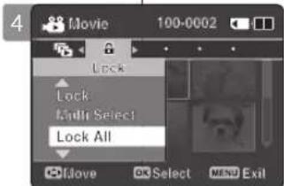 SAMSUNG VP-X300 - Locking Movie Files in Multi-View - 4