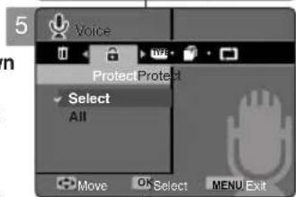 SAMSUNG VP-MM12S - Sprachdateien schützen - 2