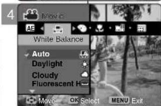 SAMSUNG VP-MM12S - Setting the White Balance - 2