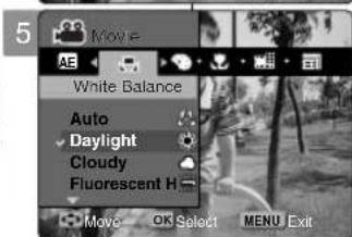 SAMSUNG VP-MM11S - Setting the White Balance - 3