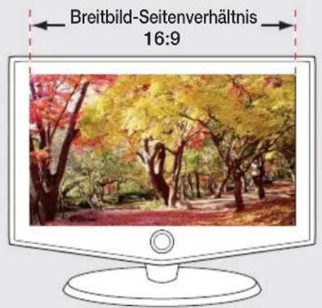 SAMSUNG SMX-F33LP - Flexible 4:3 oder 16:9 Aufnahme und Anzeige - 1